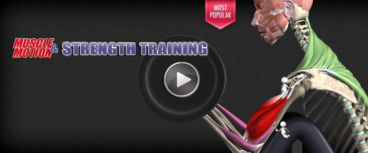 download1 Muscle&Motion Strength Training Anatomy, Muscular