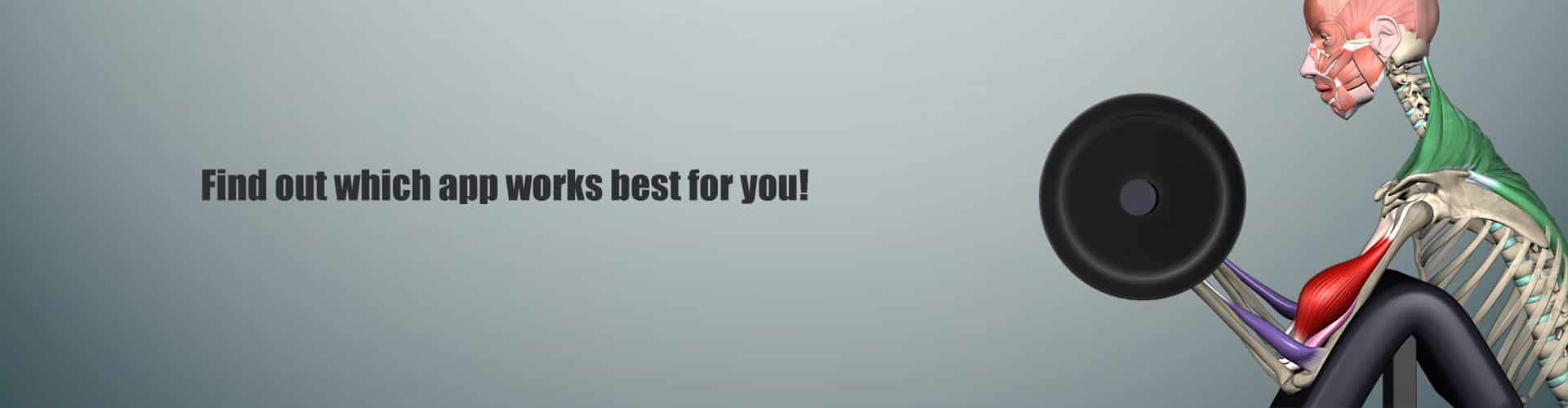 comparison3 Muscle&Motion Strength Training Anatomy, Muscular