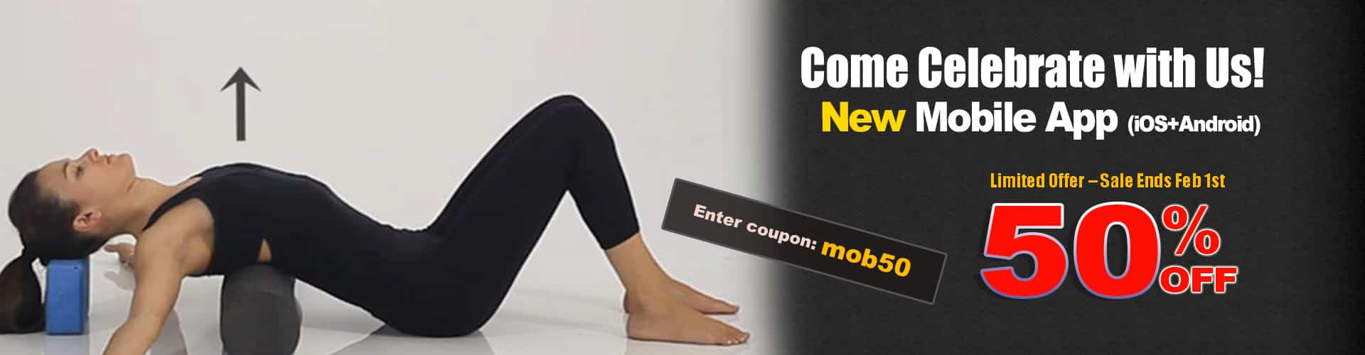 1920_500 Muscle&Motion Strength Training Anatomy, Muscular Anatomy