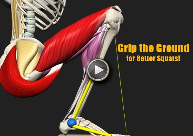 Untitled-1 | Muscle&Motion - Strength Training Anatomy, Muscular