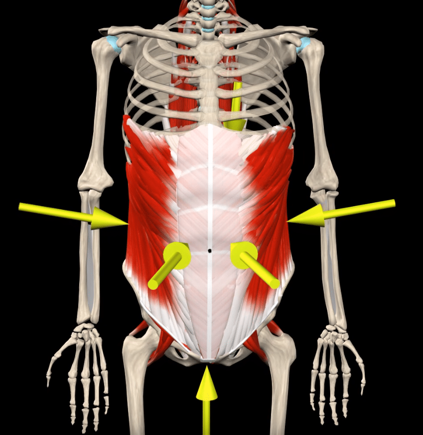 Abdominal Bracing  The small nuance that makes a big difference