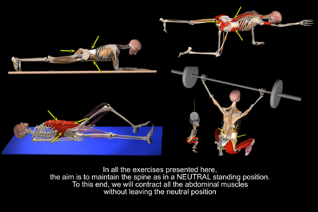 Supine transversus abdominis bracing outlet