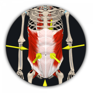 Abdominal Bracing | What Strength Trainers Need For a Better Workout