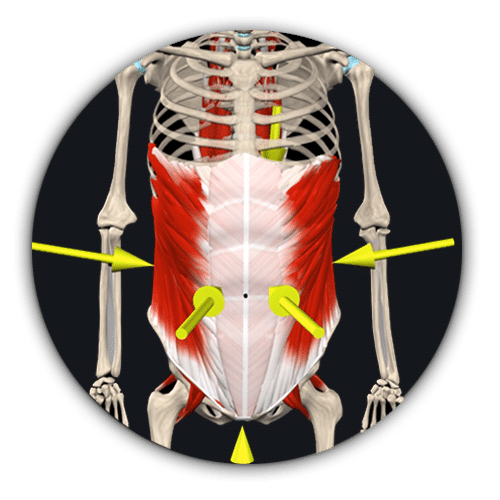 Abdominal Bracing | What Strength Trainers Need For a Better Workout