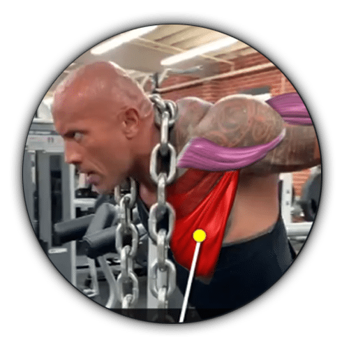 Dwayne ‘The Rock’ Johnson | Strength Training with Muscle and Motion