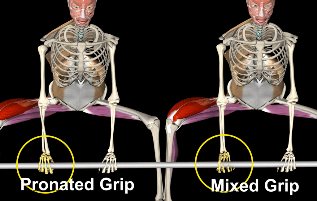 pronated Grip