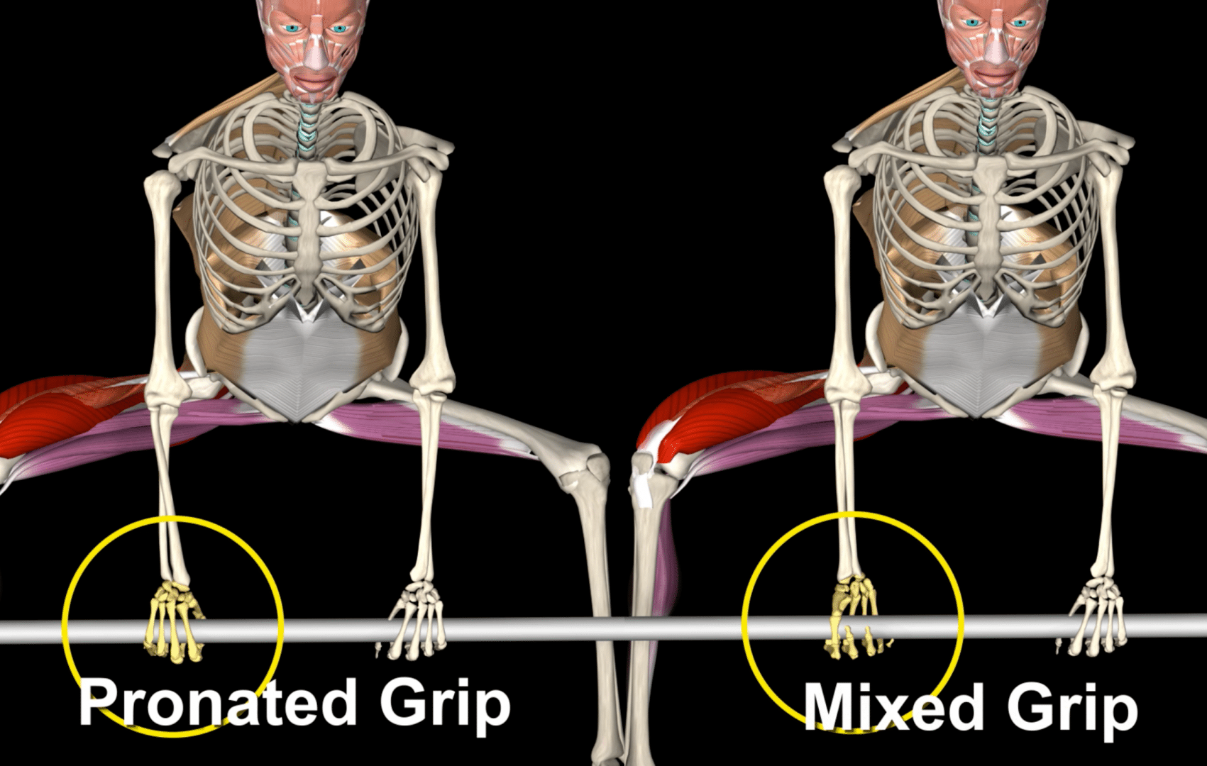 pronated Grip