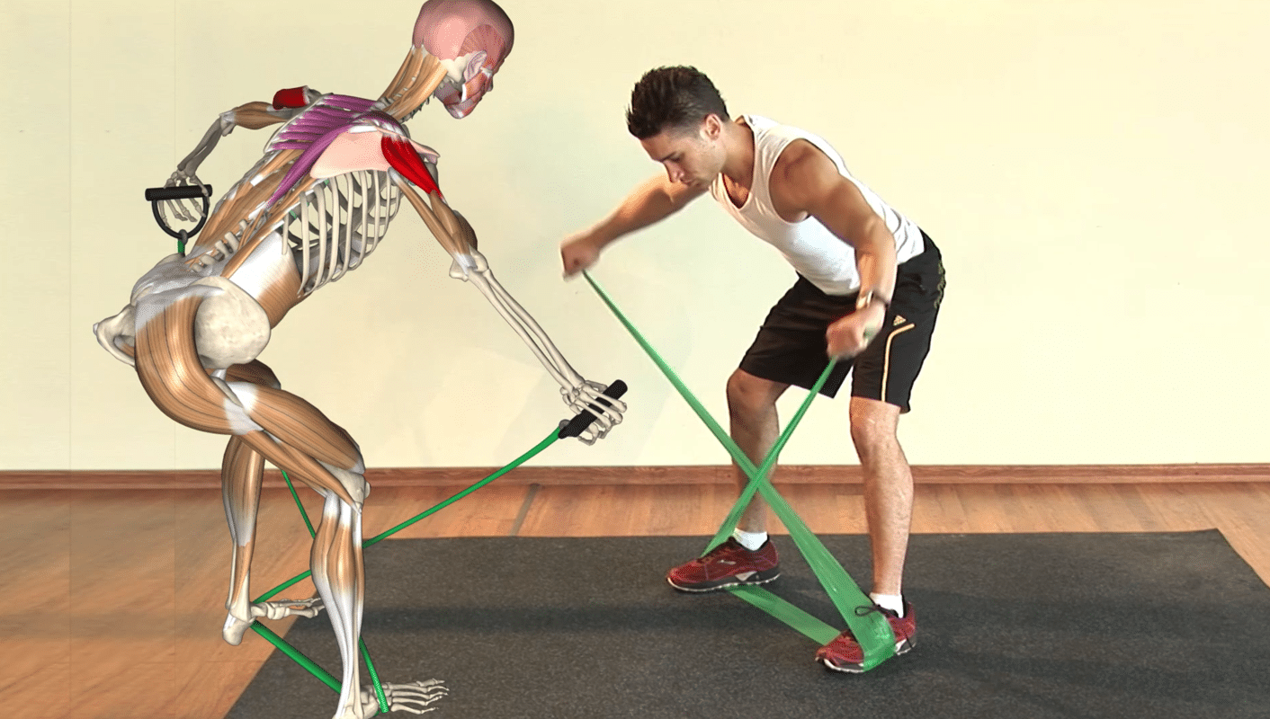 Bent over hgigh row Muscle&Motion Strength Training Anatomy