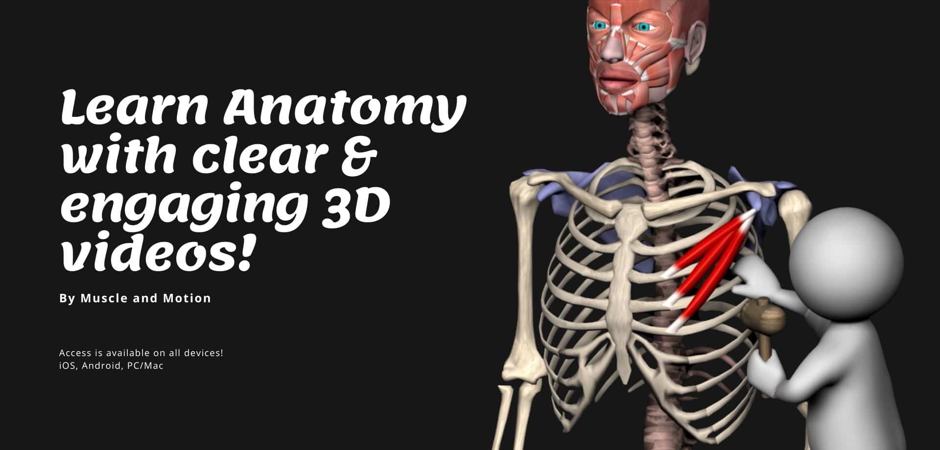 4 Muscle&Motion Strength Training Anatomy, Muscular Anatomy and More!
