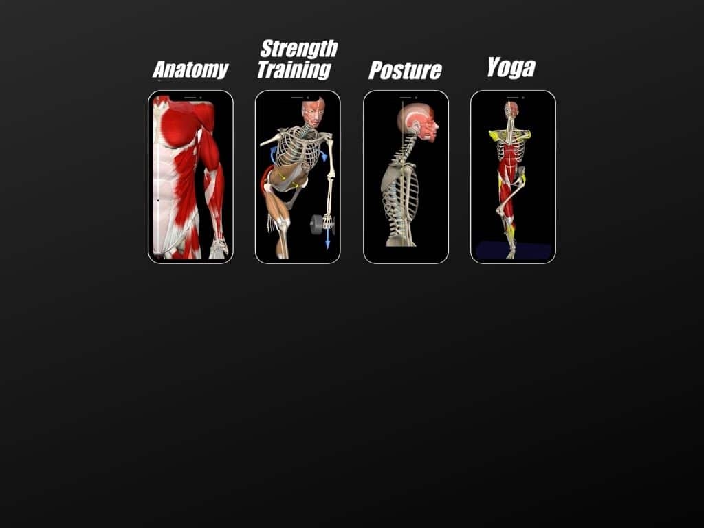 All Apps 1024_768 Muscle&Motion Strength Training Anatomy, Muscular