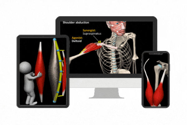 Anatomy app
