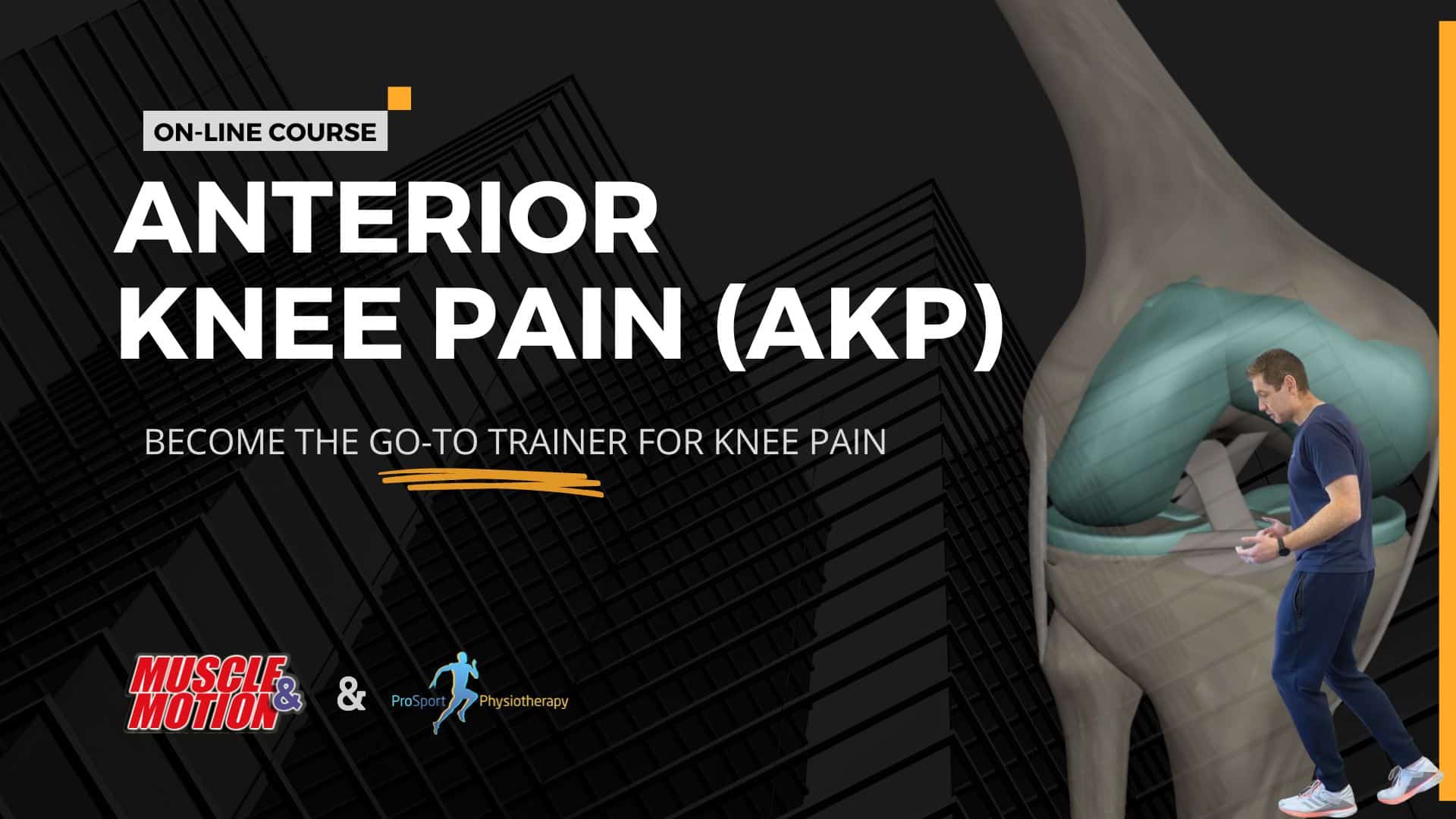 1 Muscle&Motion Strength Training Anatomy, Muscular Anatomy and More!