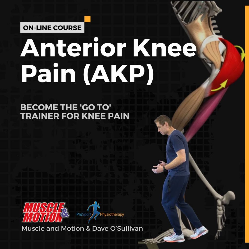 Antrerior knee
