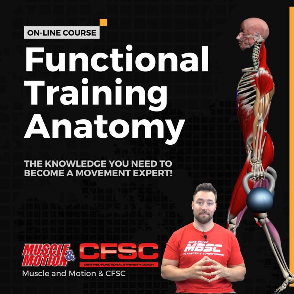 Training Anatomy