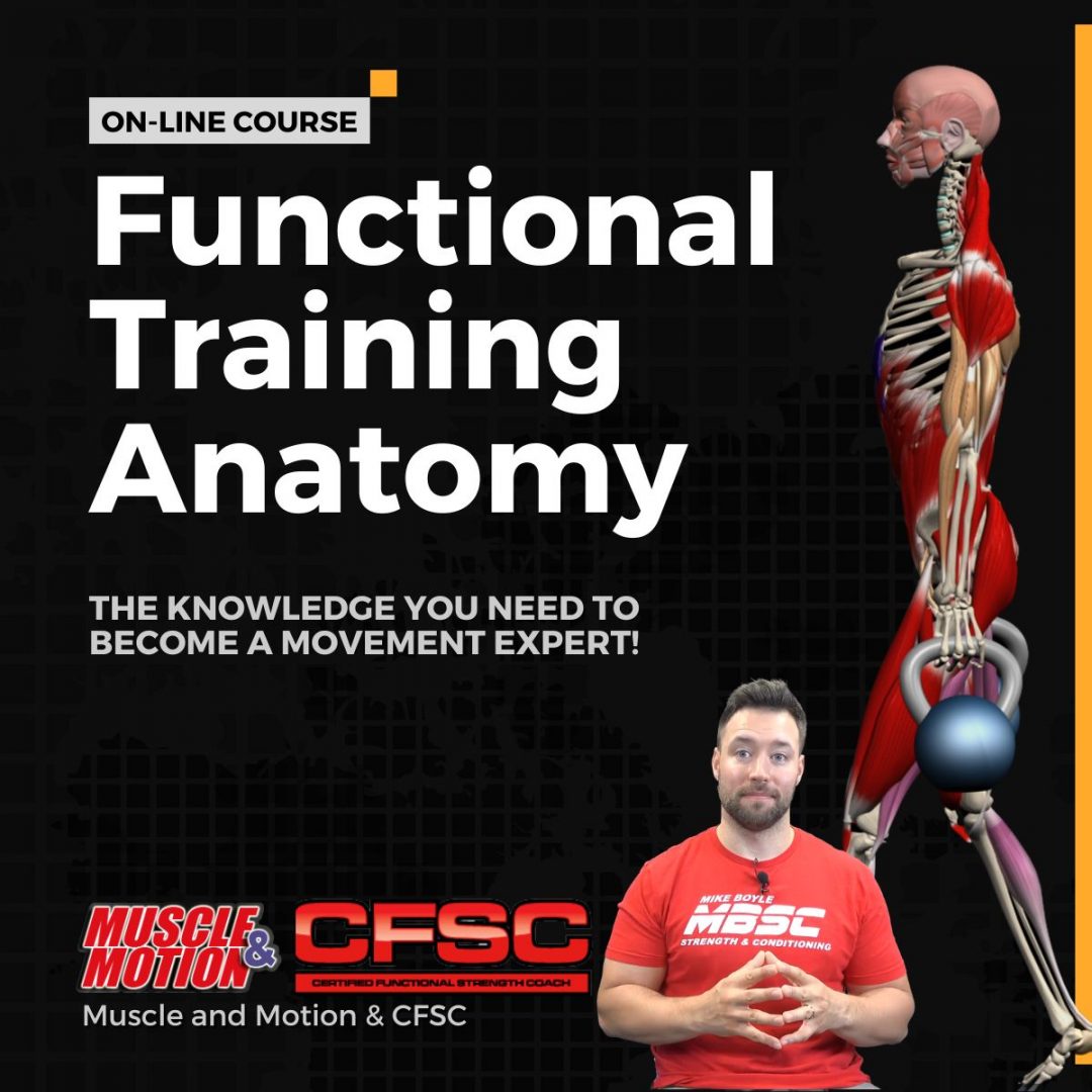 Functional Training Anatomy Online Corse