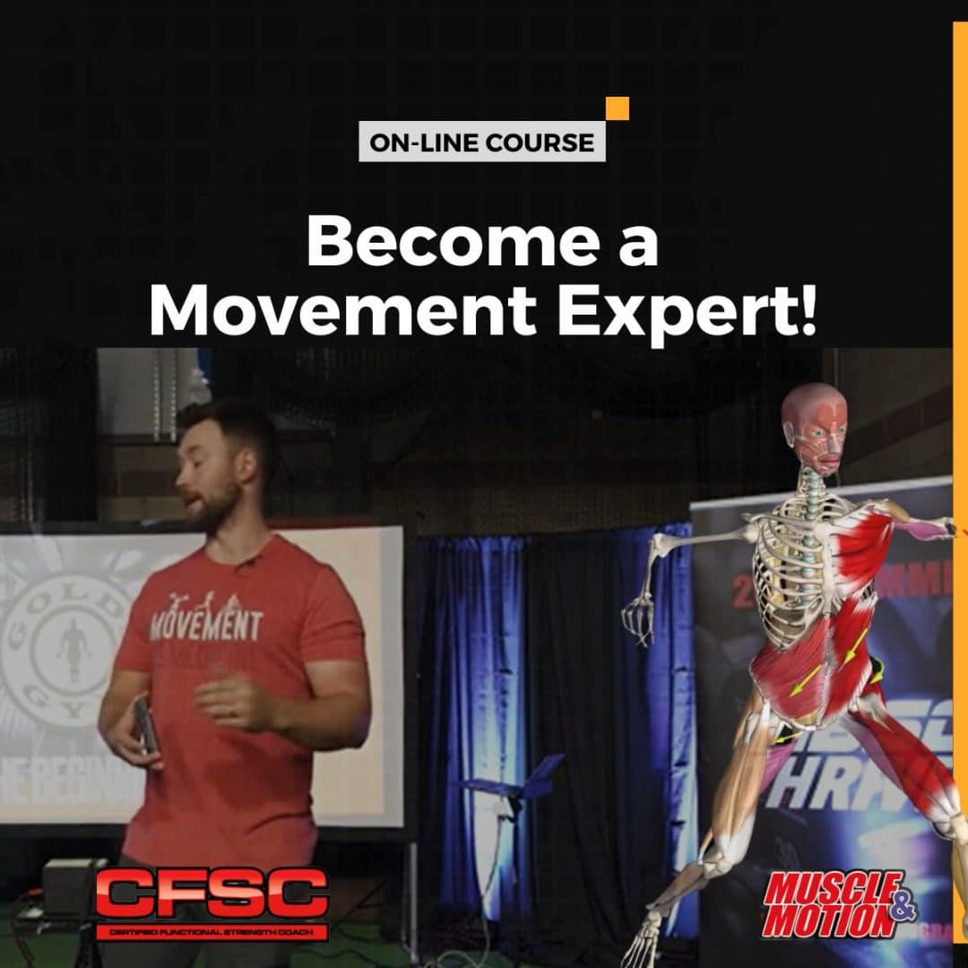 New_4 Muscle&Motion Strength Training Anatomy, Muscular Anatomy and