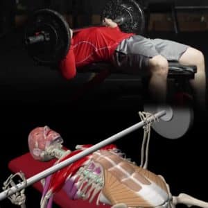 Bench Press Properly head blog pic