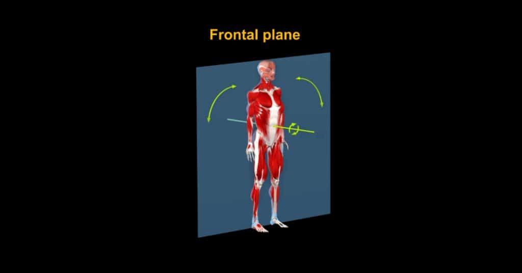 Frontal plane