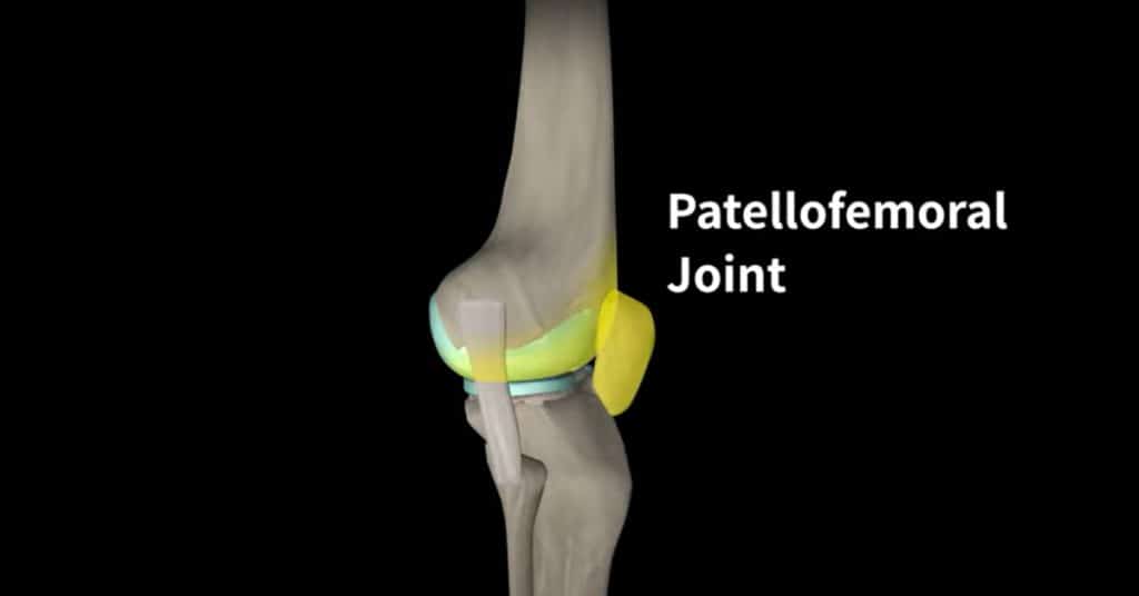 The patellofemoral joint