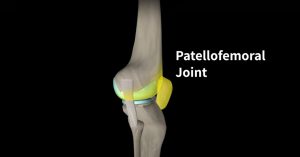 The patellofemoral joint