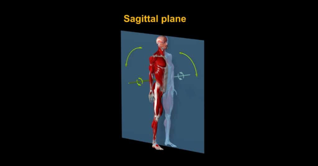 sagittal plane
