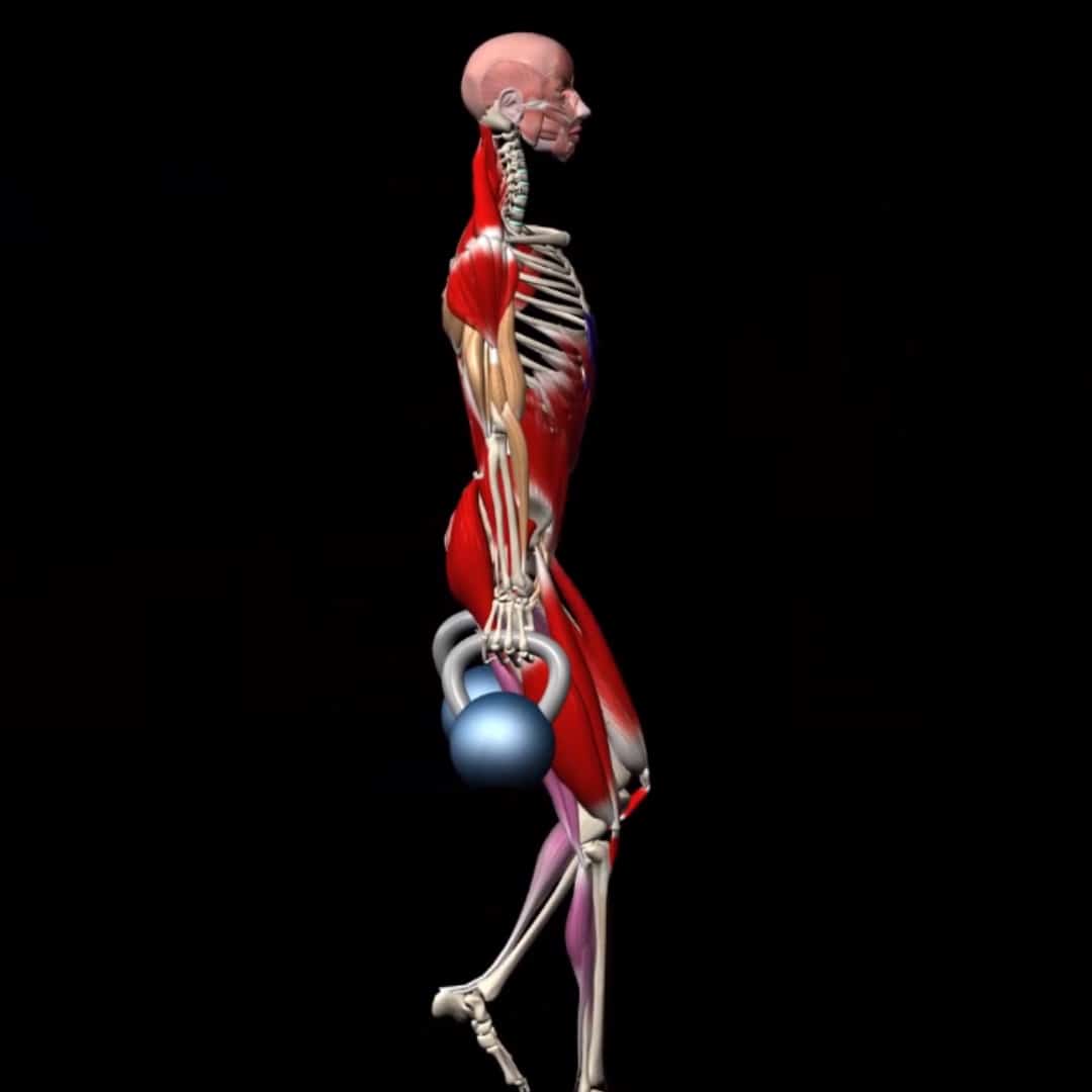 Functional Strength Training Muscle And Motion Blog functional-strength-training-muscle-and-motion-blog