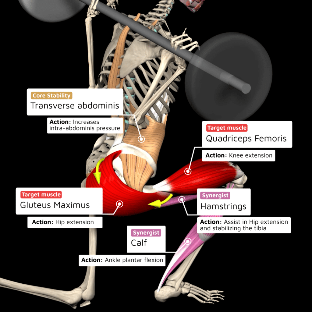 Rear Lunge