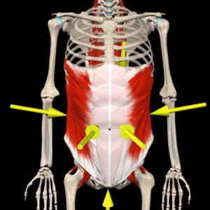 Abdominal Bracing