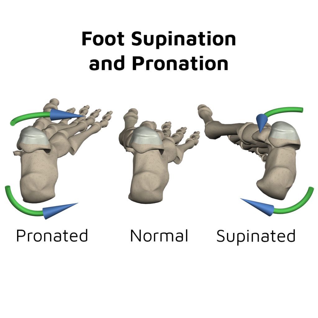 Foot_Supination_and_Pronation