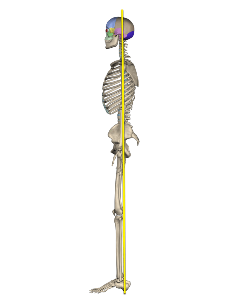 Postural Assessment_Posture APP_v01