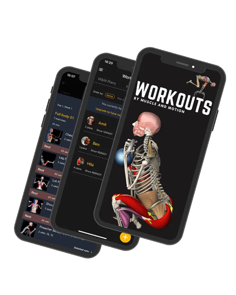 Workouts_Apppng