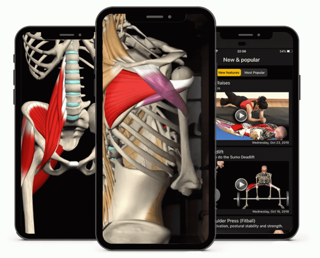 Muscle and Motion apps