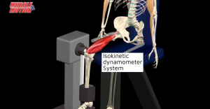 Isokinetic Muscle Contraction