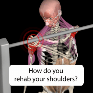 תמונה ראשית לעמוד בלוג Rotator Cuff-Related Shoulder Pain