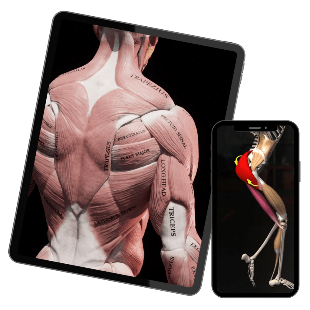 Strength Training app