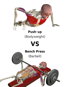 Bench Press_VS_Push_Ups_v01