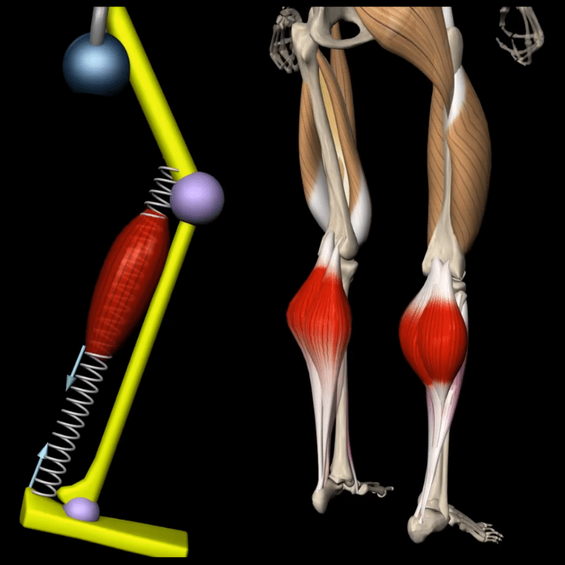 Blog featured image Plyometrics: The Science of Explosive Strength