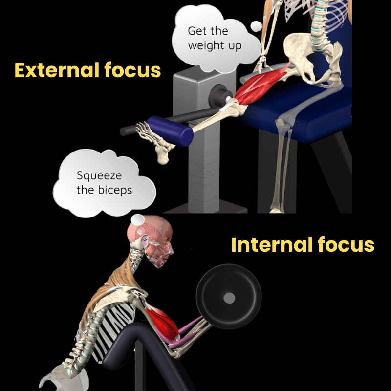 Blog featured image Internal VS External Focus in Resistance Training