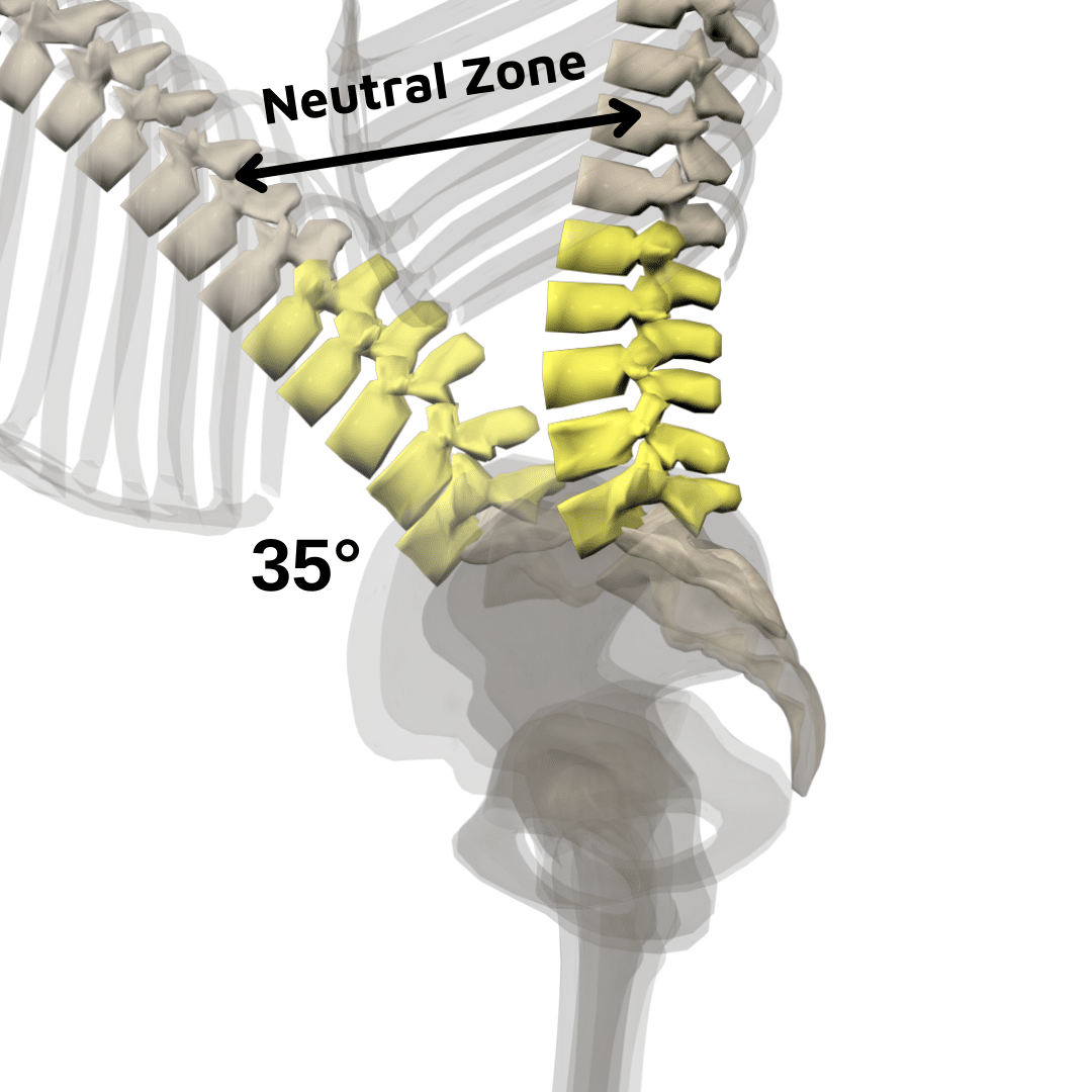 Lumbar_flexion_Neutral Zone_v01