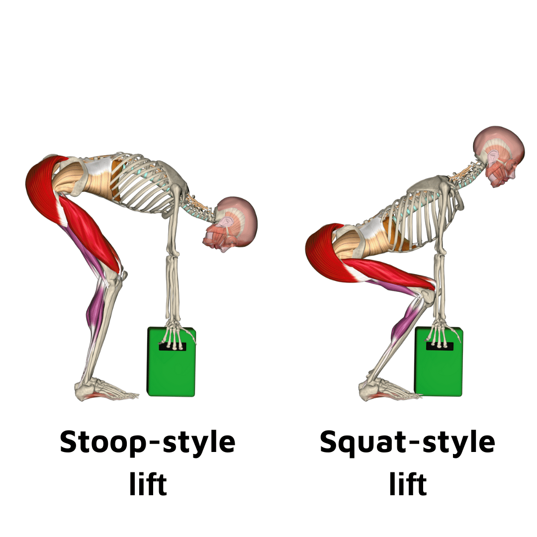 Squat_Stoop_style lift_v02