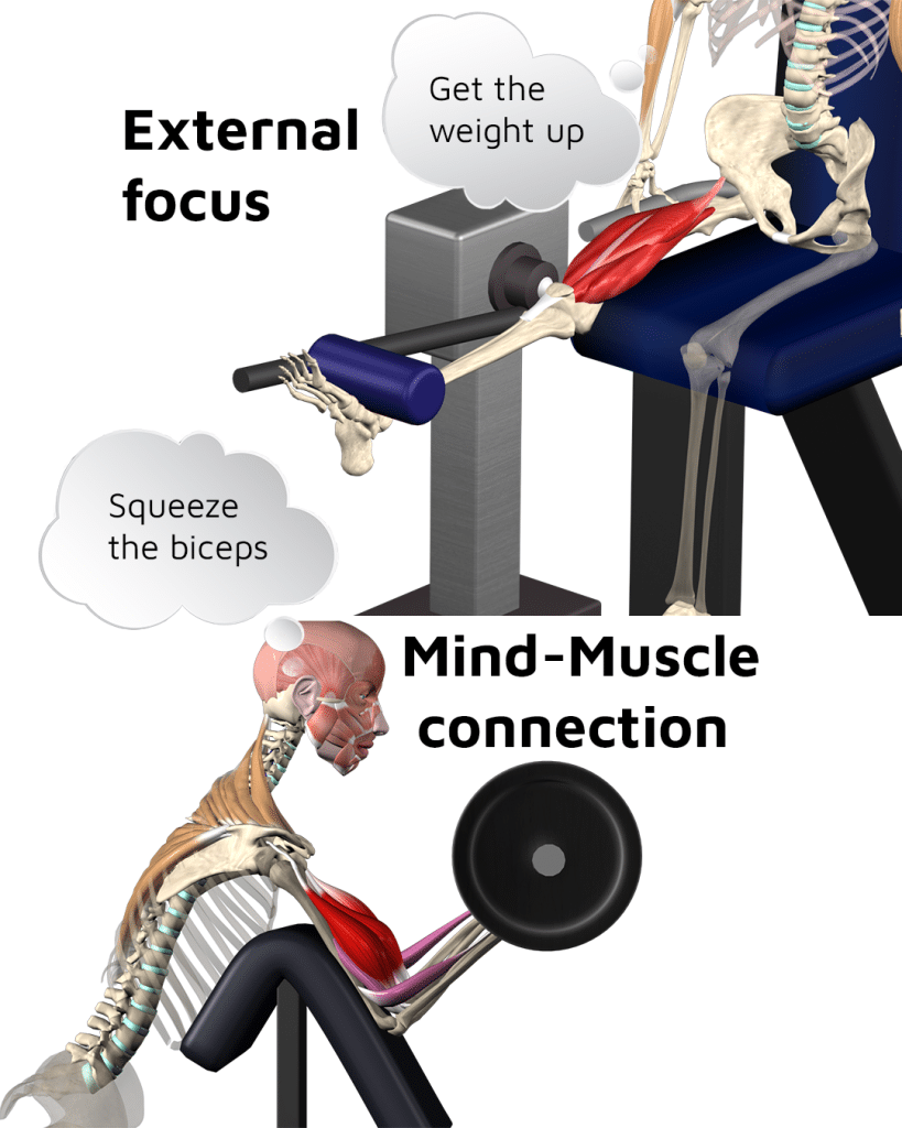 Internal VS External Focus in Resistance Training_Mind_Muscle Connection