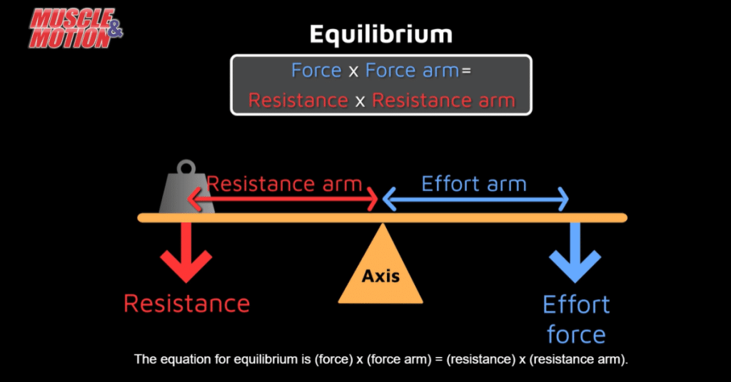 equilibrium