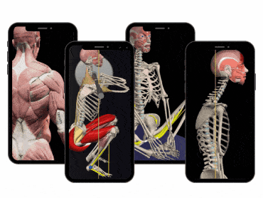 Strength Training app