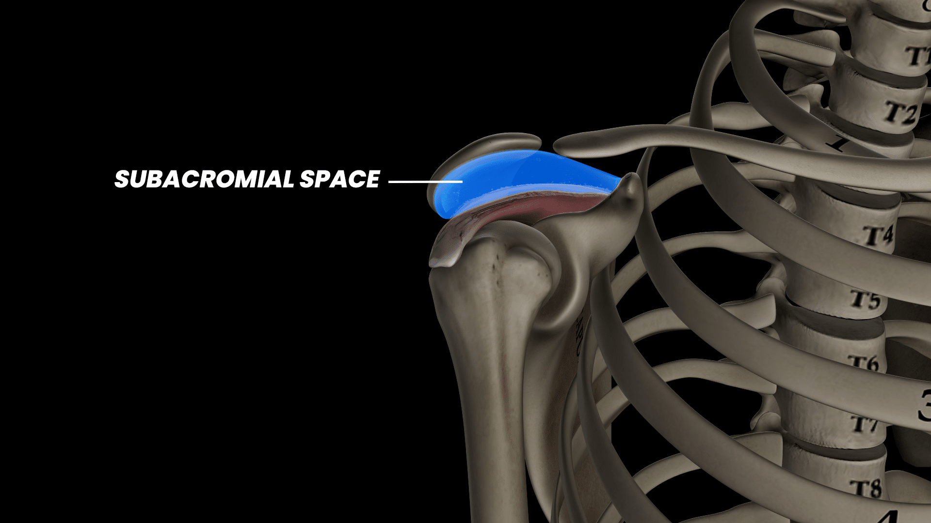 Subacromial space