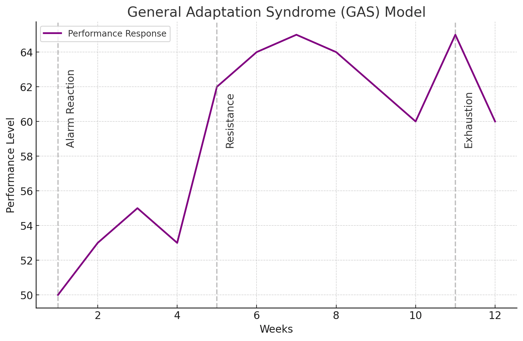 General Adaptation Syndrome (GAS) Model