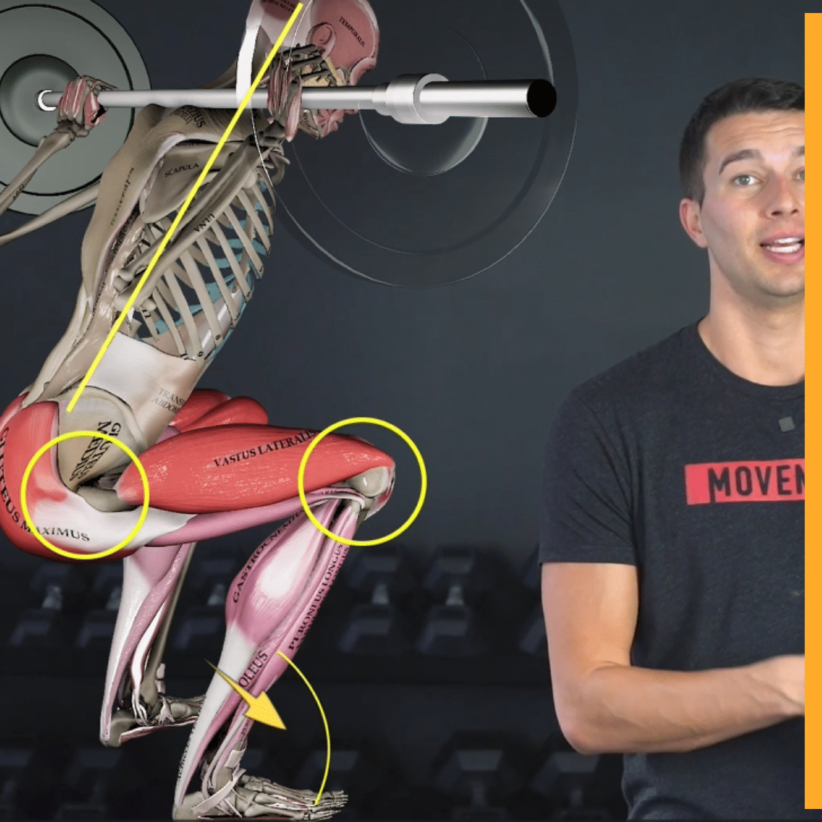 Lower Body Functional Patterns
