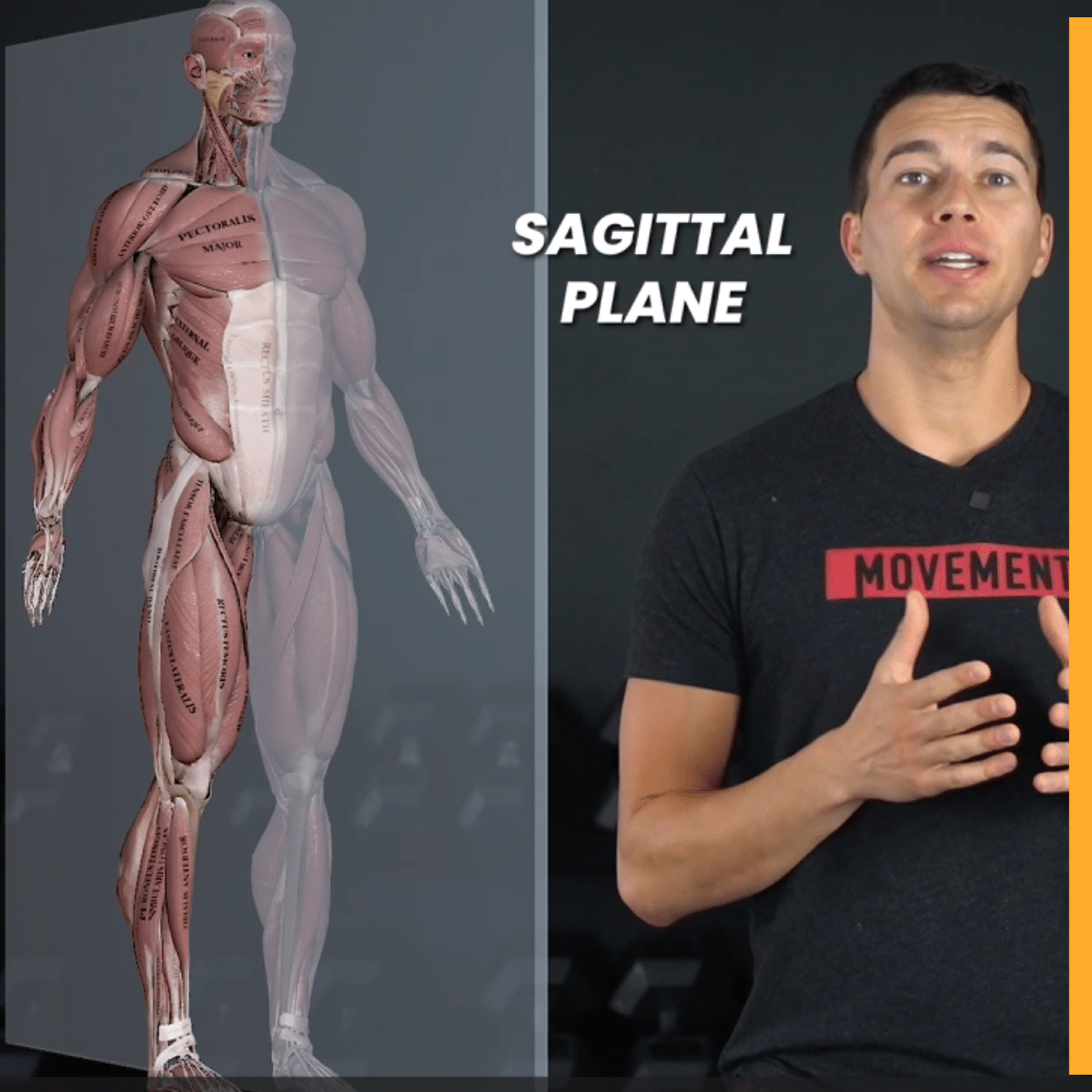 Movement Chains, Contraction Types, and Planes of Motion
