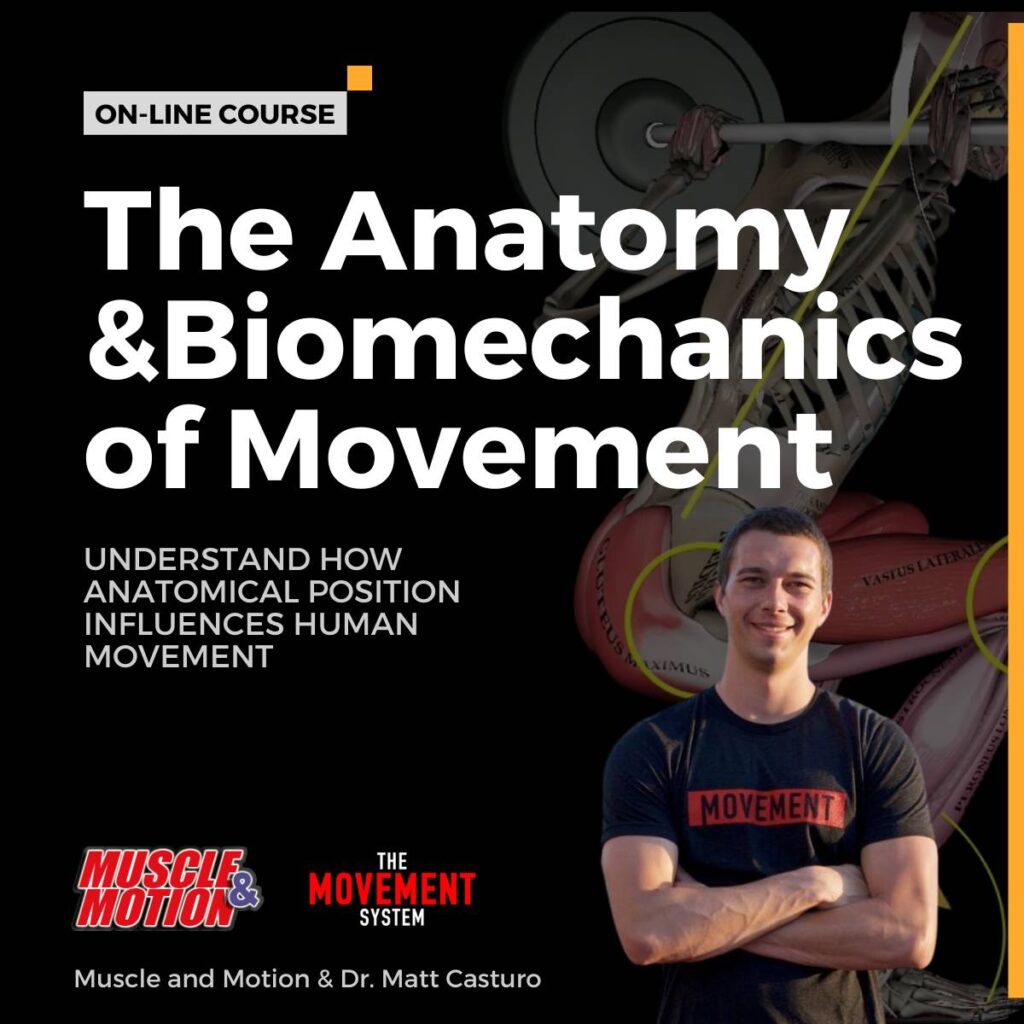 The Anatomy &Biomechanics of Movement