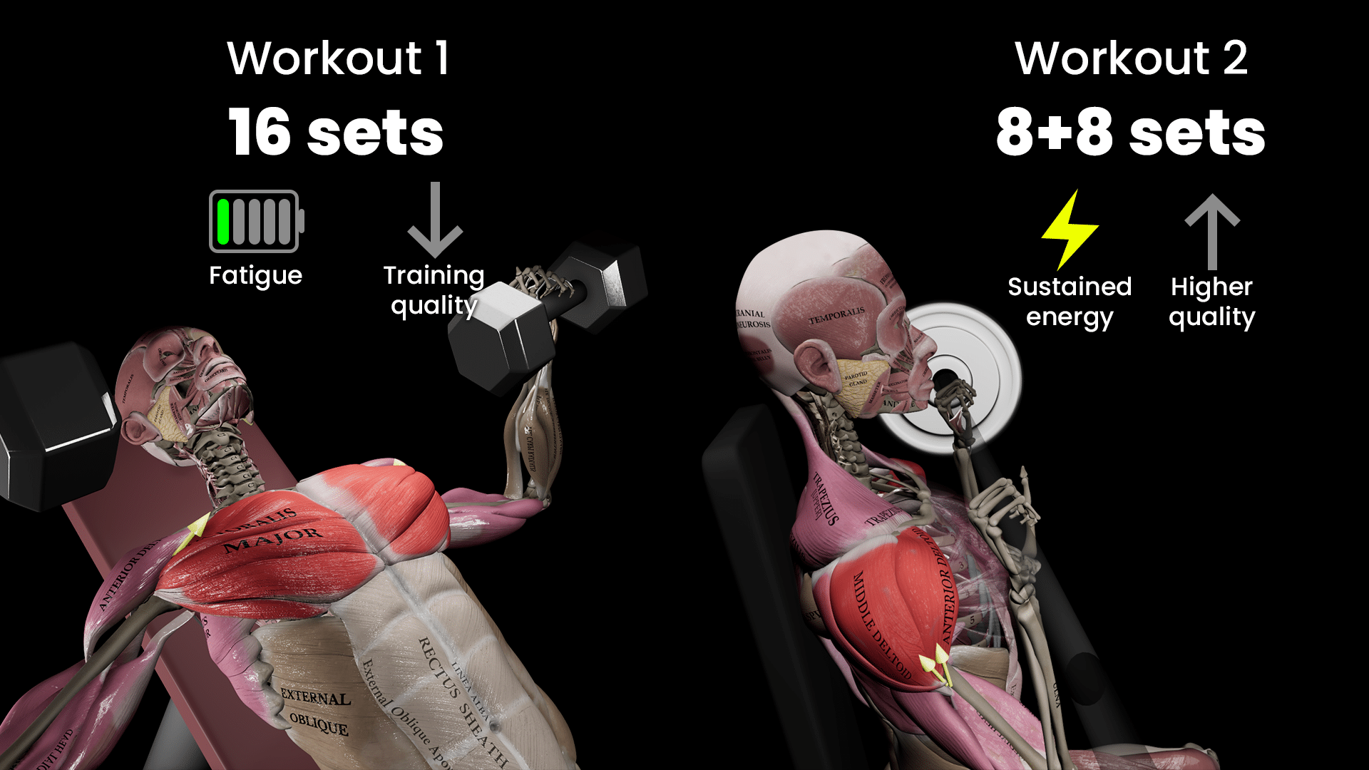 Sets per session