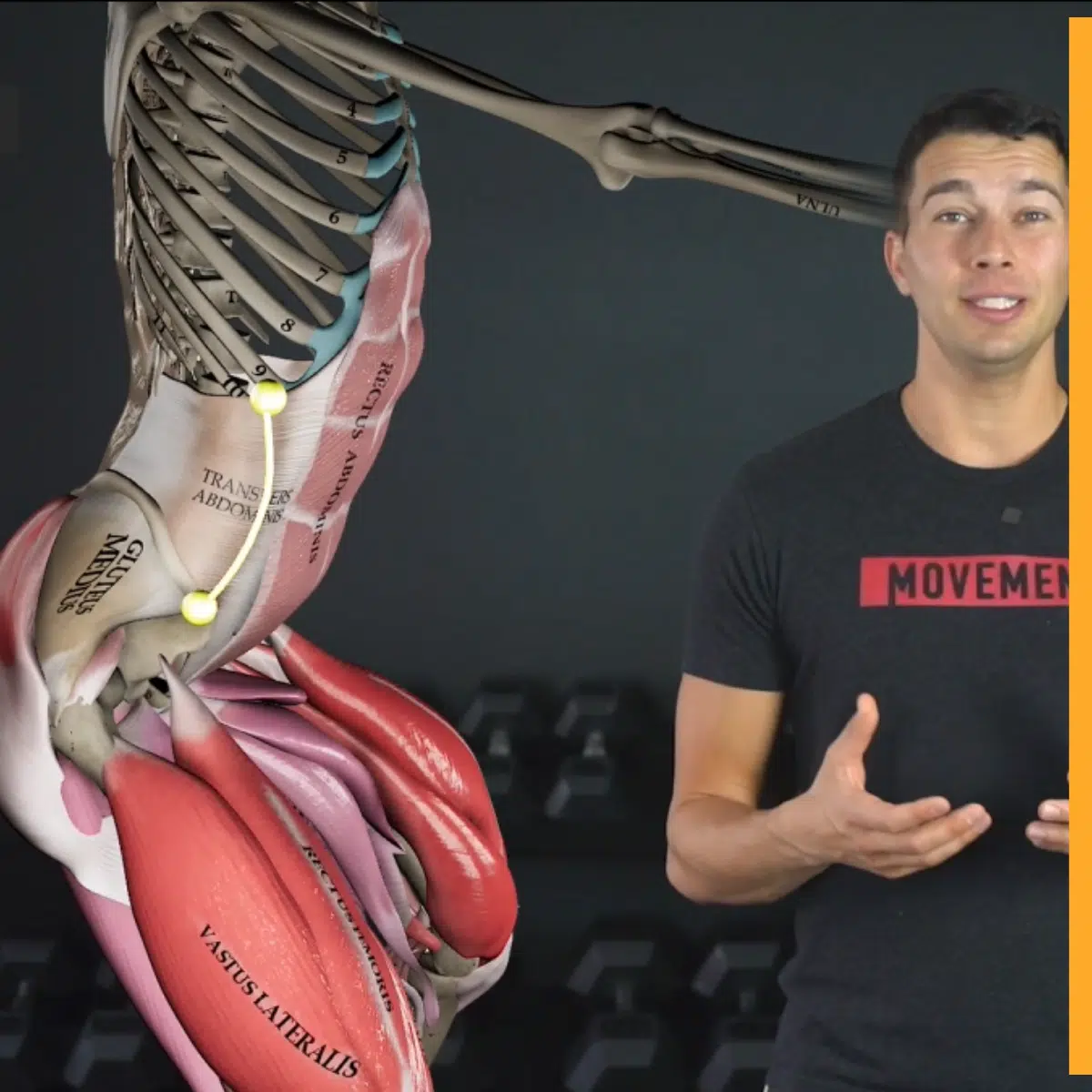 Course Introduction and Biomechanics Basics